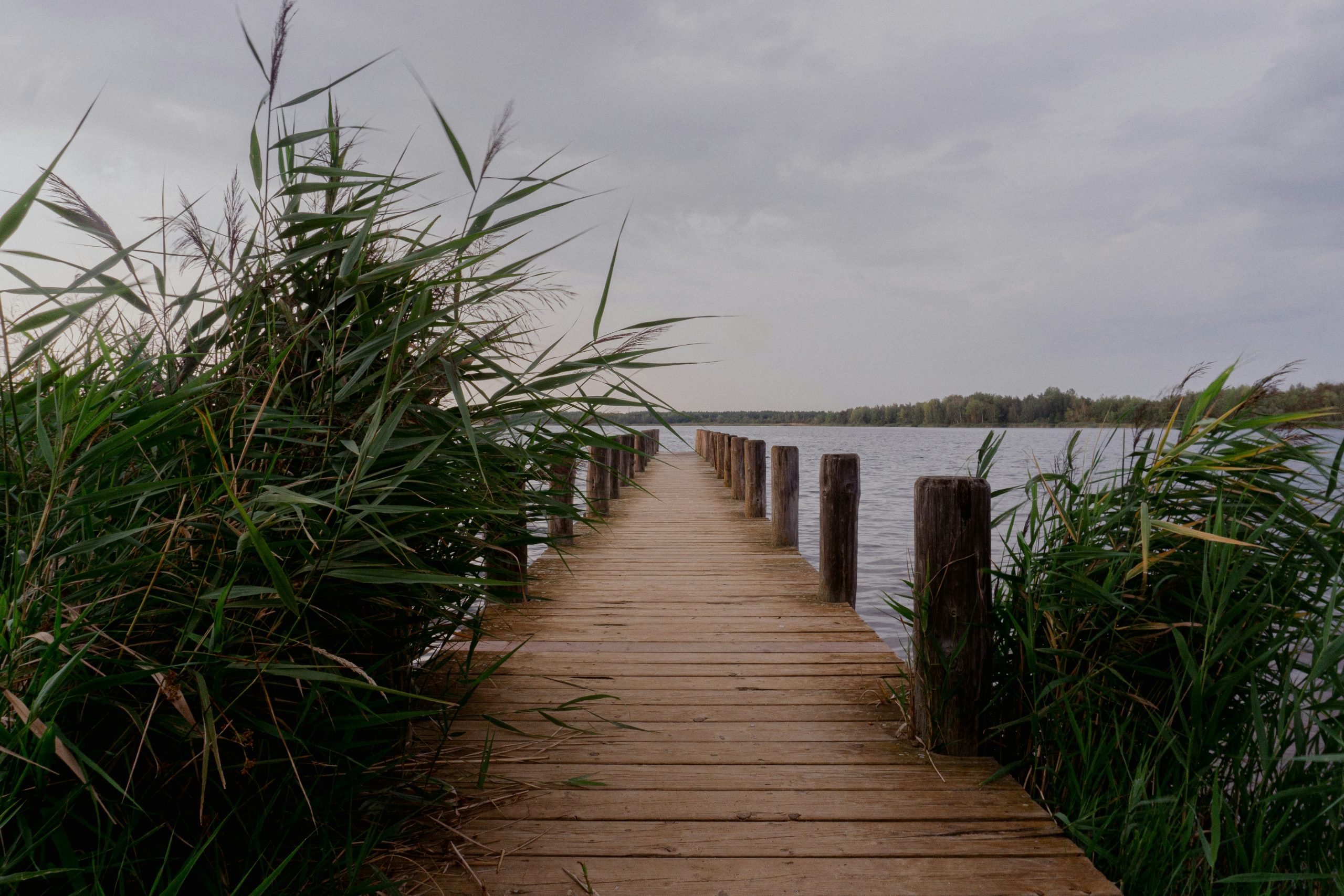 the vidzeme planning region organizes a hackathon to develop innovative access solutions in water tourism