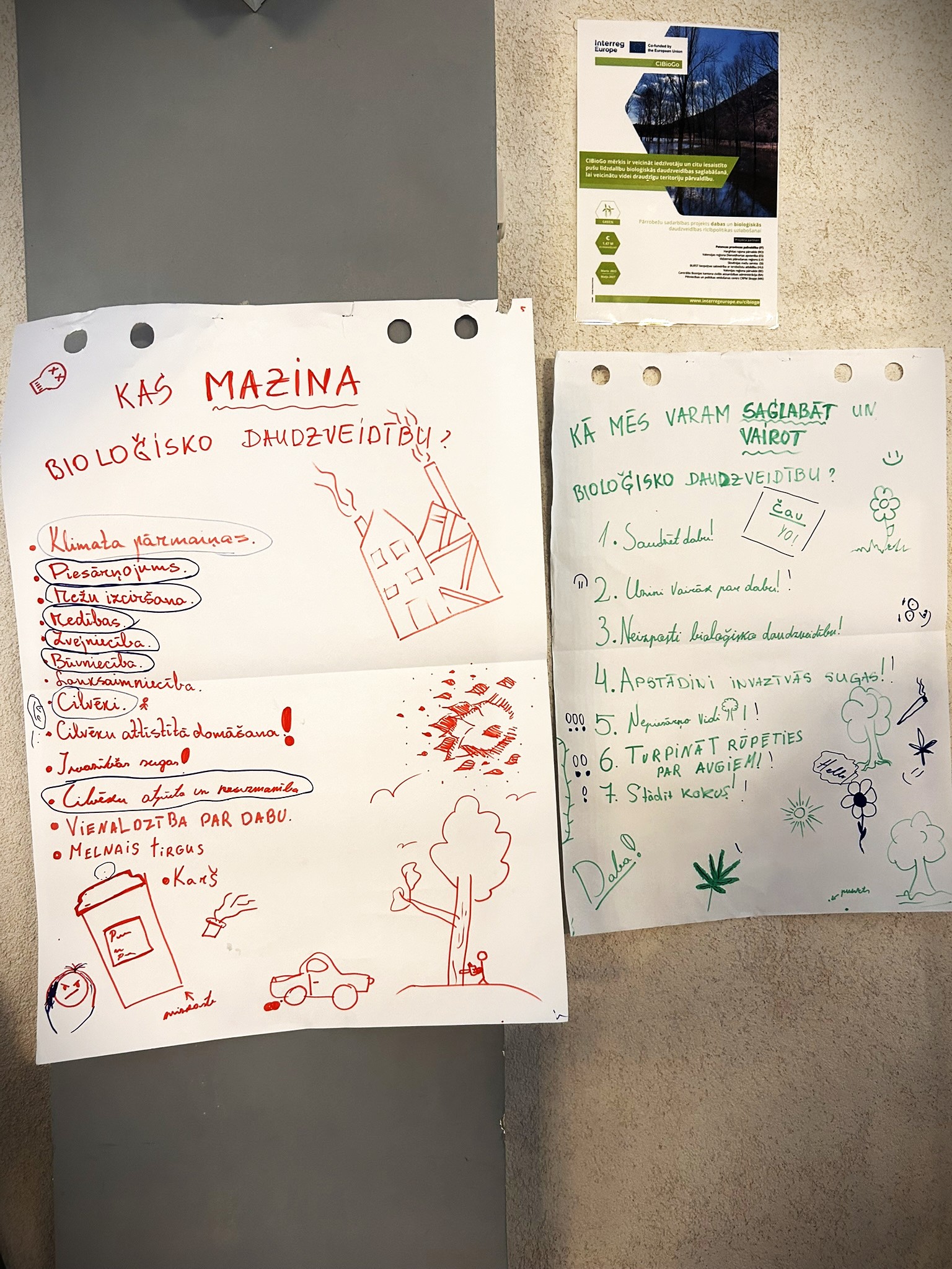 junior rangers engage in biodiversity conservation at the vidzeme