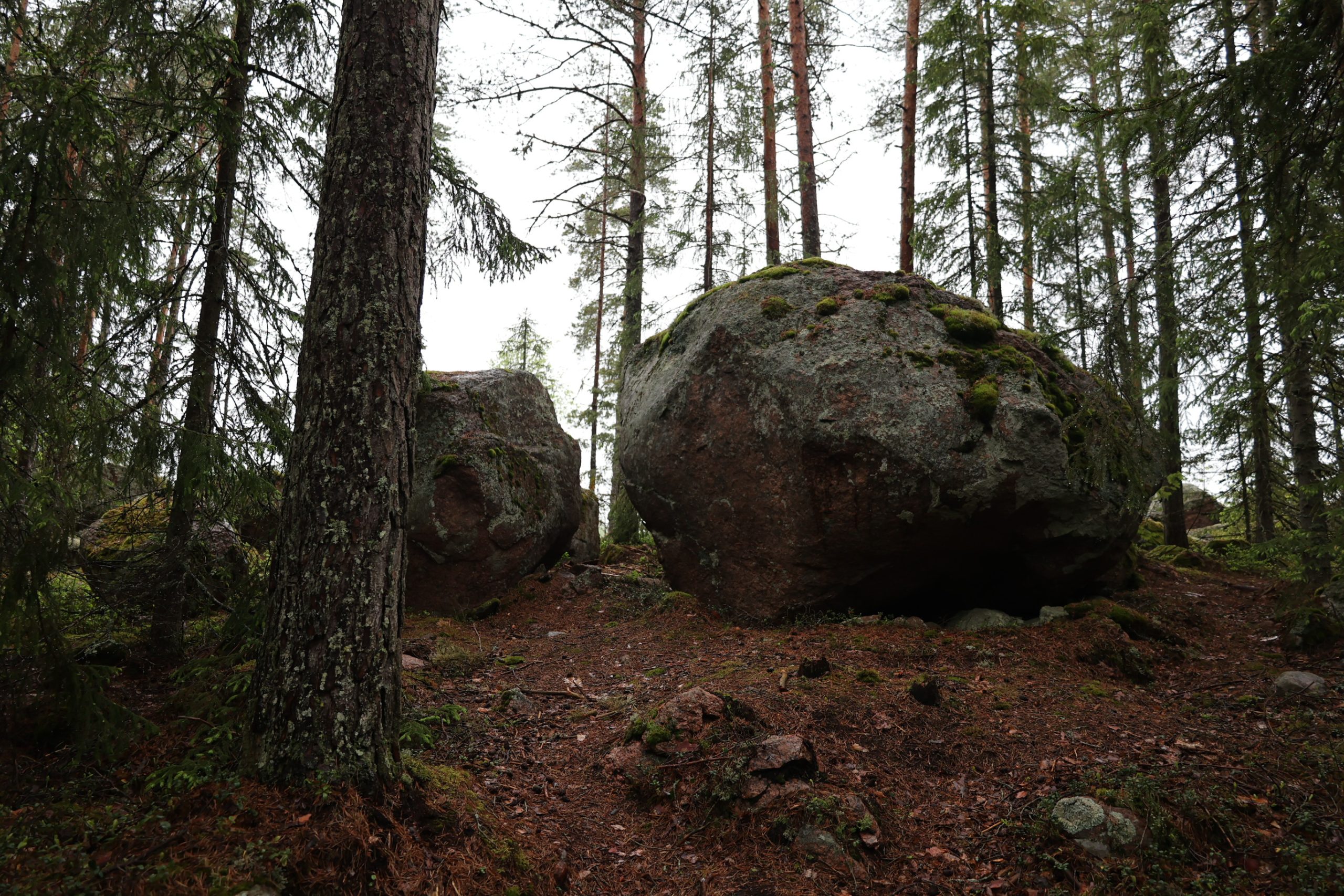 latvijas pasvaldibu specialisti apgust somijas pieeju bijuso kudras zemju revitalizacijai un emisiju mazinasanai