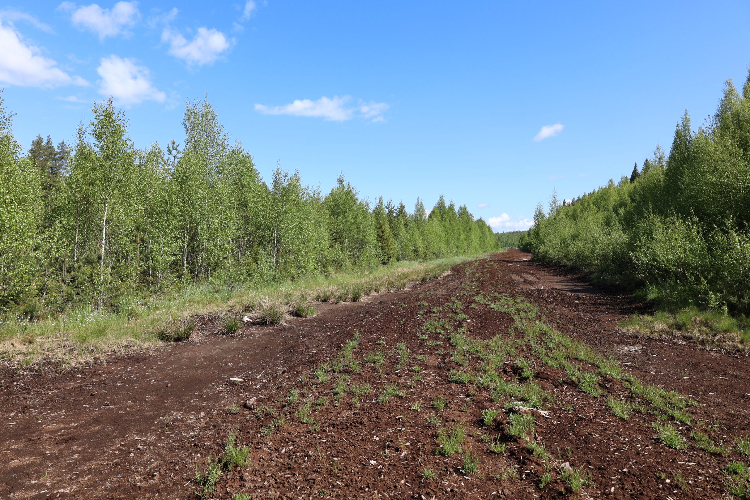latvijas pasvaldibu specialisti apgust somijas pieeju bijuso kudras zemju revitalizacijai un emisiju mazinasanai