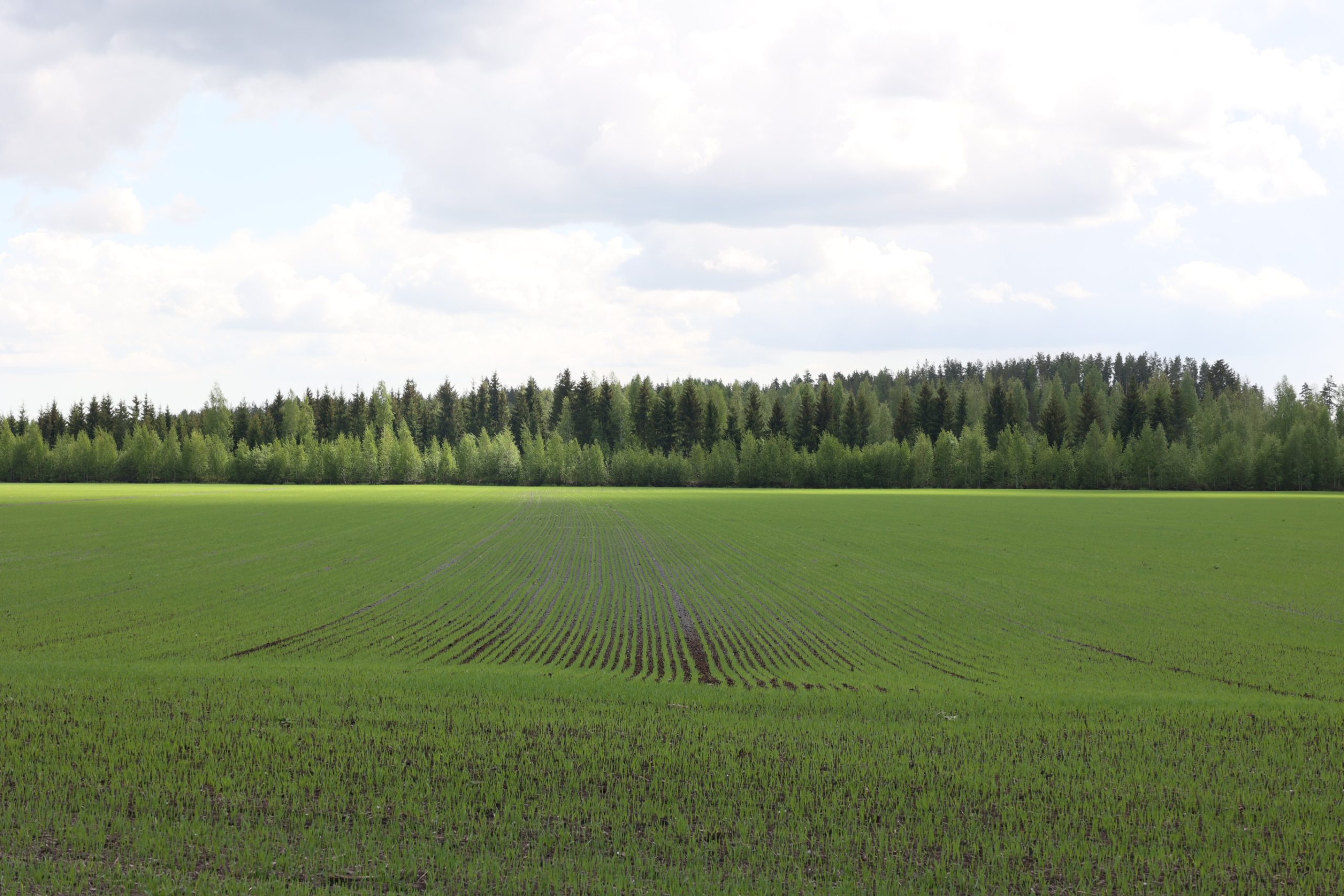 latvijas pasvaldibu specialisti apgust somijas pieeju bijuso kudras zemju revitalizacijai un emisiju mazinasanai