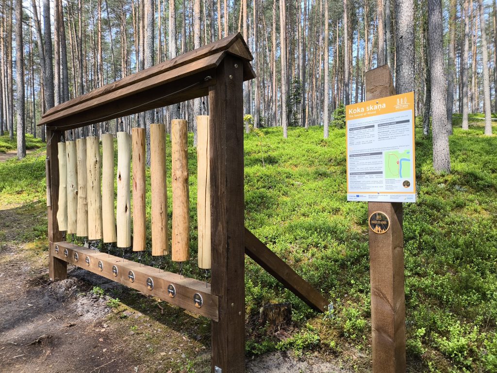 discover play and hike new family friendly loop trails on the forest trail in vidzeme