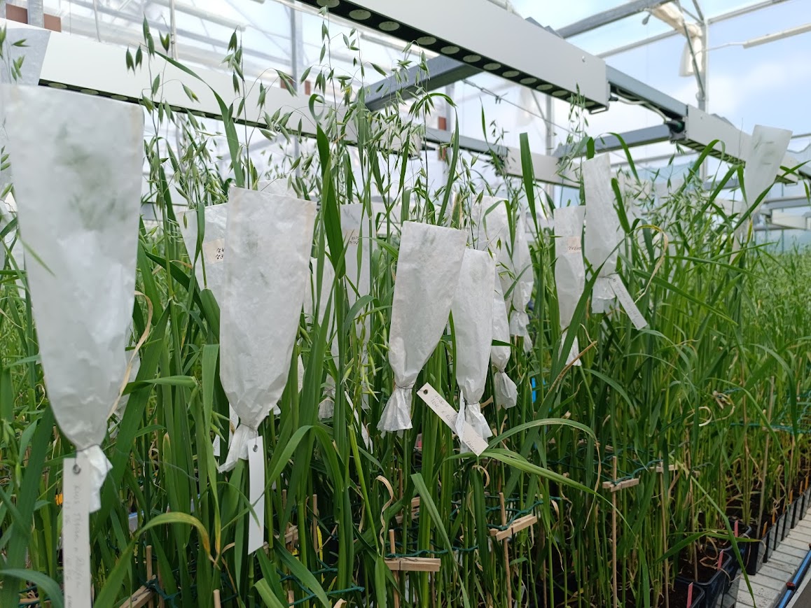3f green model unikali aprites bioekonomikas risinajumi un zinatniski pamatota petnieciba agroresursu un ekonomikas instituta stende