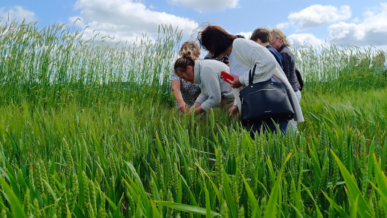 3f green model unikali aprites bioekonomikas risinajumi un zinatniski pamatota petnieciba agroresursu un ekonomikas instituta stende
