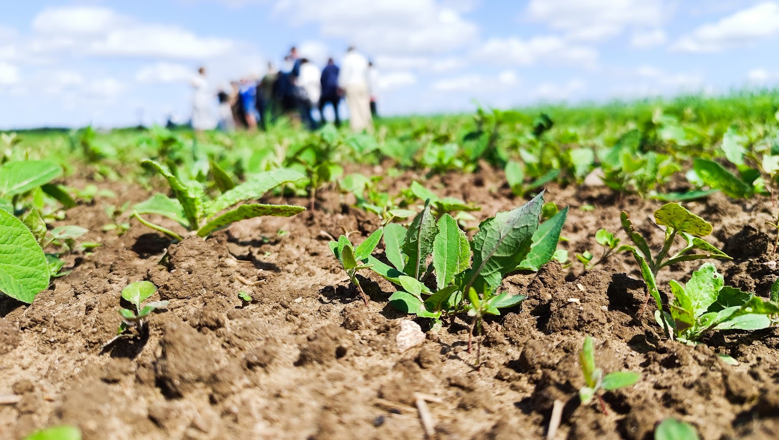 3f green model unikali aprites bioekonomikas risinajumi un zinatniski pamatota petnieciba agroresursu un ekonomikas instituta stende