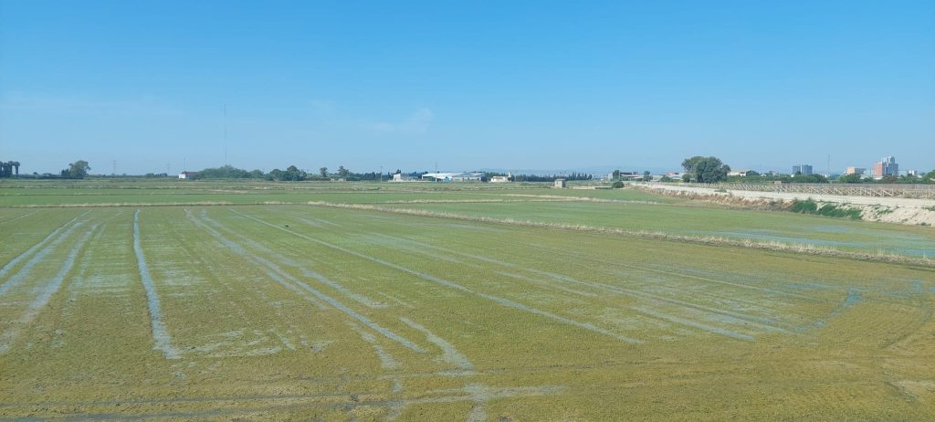 kopienas iesaiste un noturiba vidzemes parstavji gust pieredzi spanija