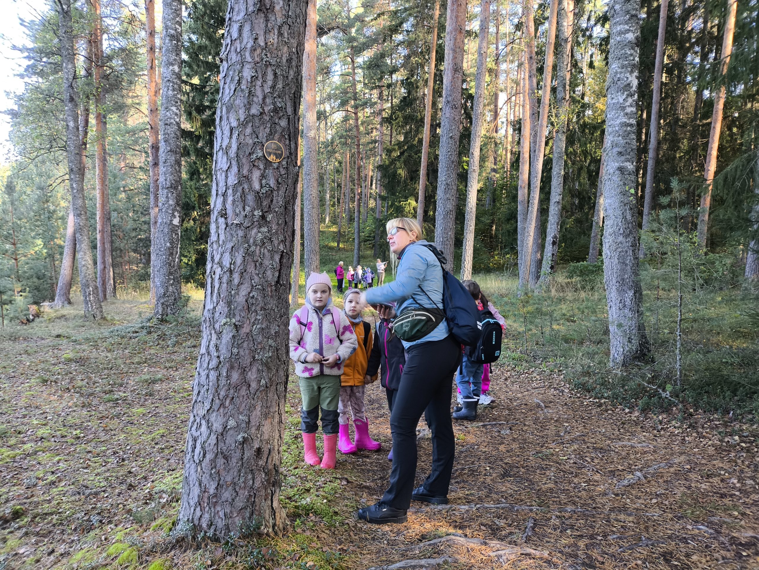 children explore a new loop trail and digital game on the forest trail