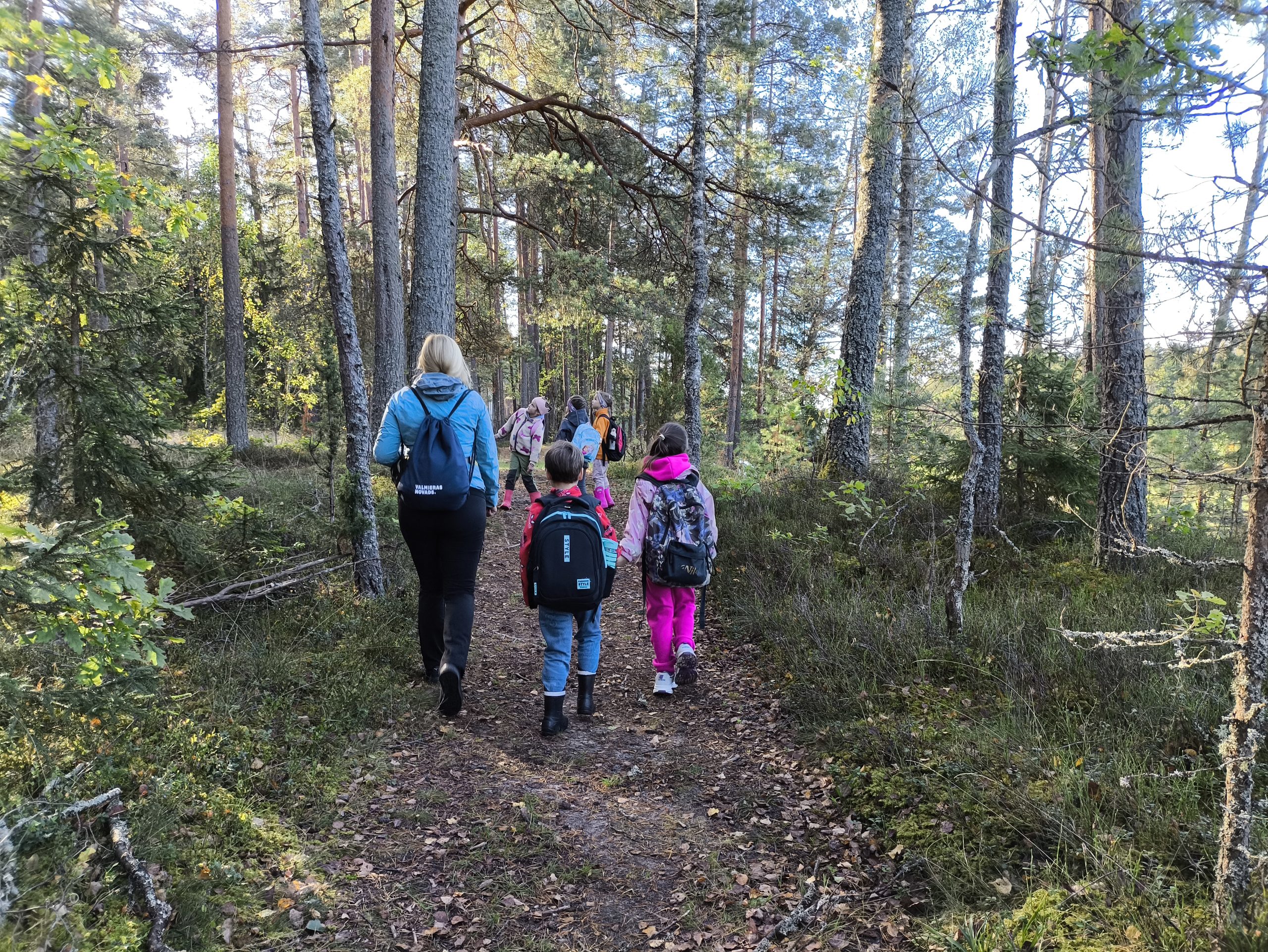 children explore a new loop trail and digital game on the forest trail