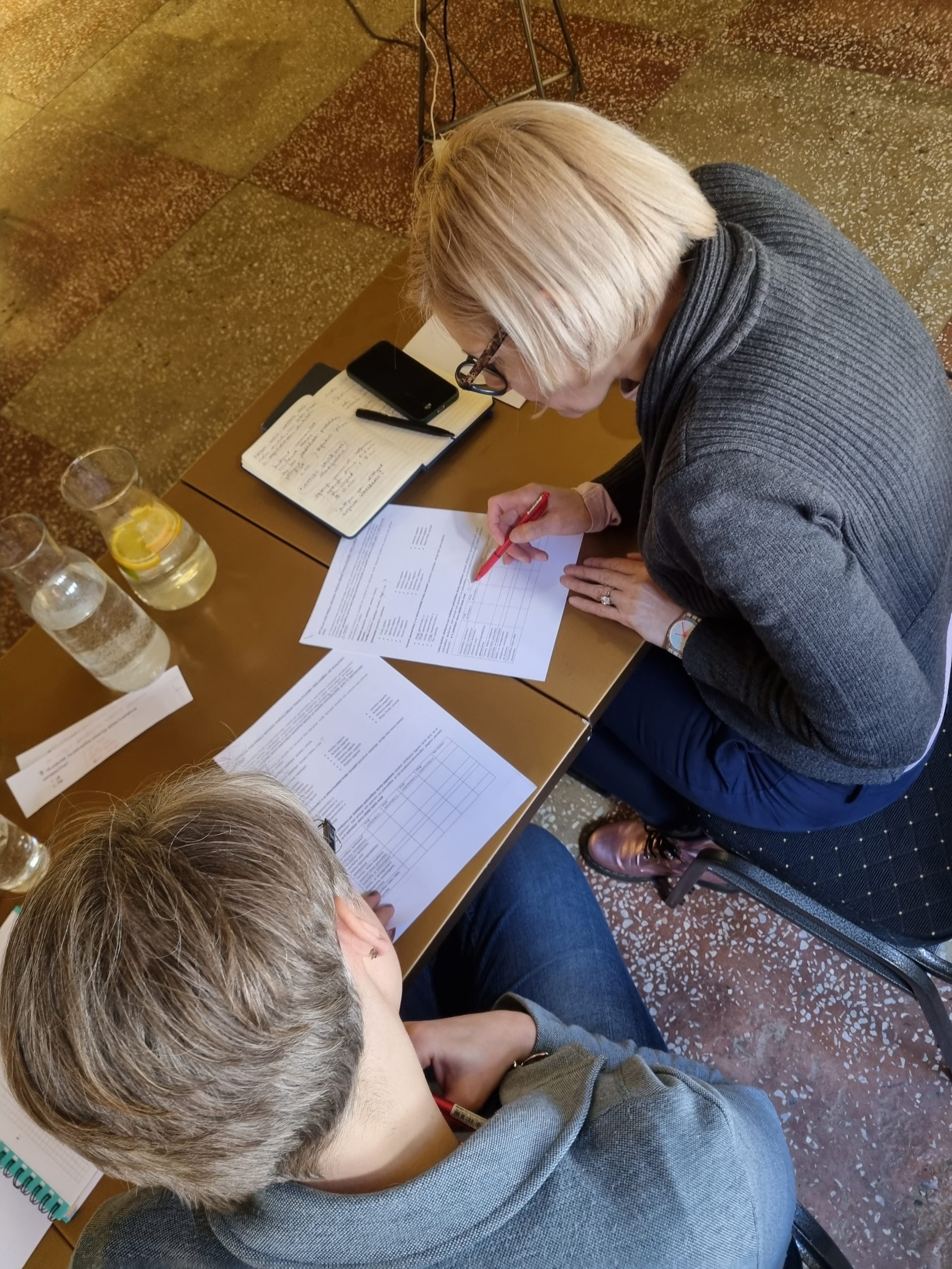 aptaujas ka instruments labakiem lemumiem nosledzies vpr apmacibu cikls